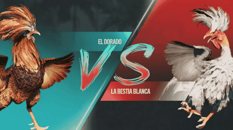 uu777 Apostas Seguras e Jogos Populares